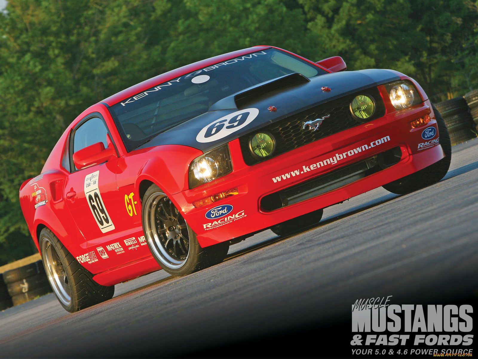 , mustang